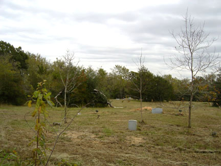 Road to Barker's Prairie Cemetery